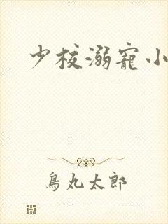 少校溺宠小小妻