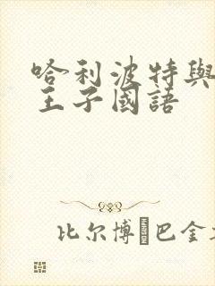 哈利波特与混血王子国语