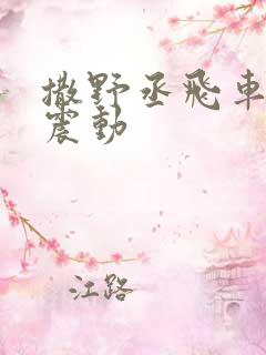 撒野丞飞车道具震动