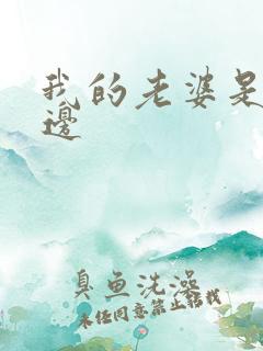 我的老婆是蕾丝边