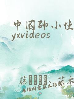 中国帅小伙gayxvideos