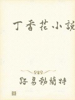 丁香花小说
