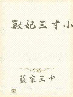 兽妃三寸小狂妻