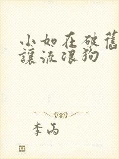 小如在破旧仓库让流浪狗