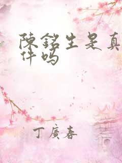 陈铭生是真实事件吗