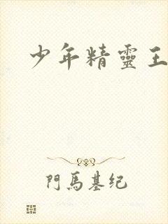少年精灵王