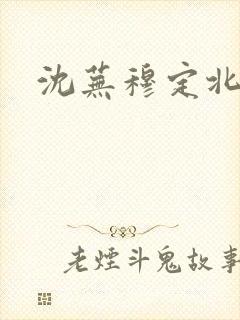 沈芜穆定北小说