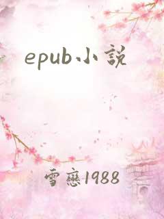 epub小说