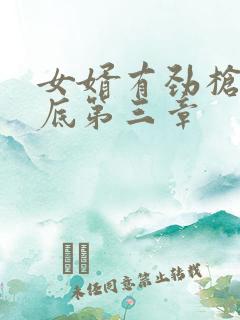 女婿有劲枪枪到底第三章