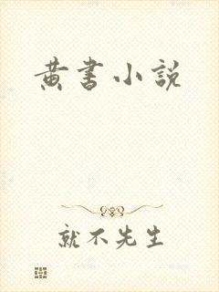 黄书小说