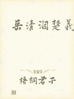 岳清洇楚羲小说