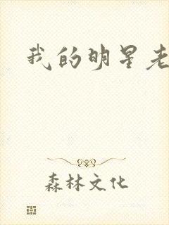 我的明星老豆