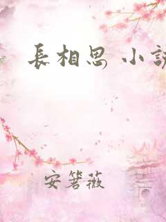 长相思 小说