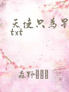 天使只为星夜哭txt