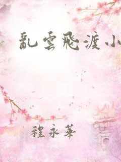 乱云飞渡小说