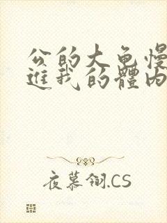 公的大龟慢慢挺进我的体内