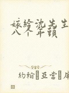 嫁给沈先生的第八个年头