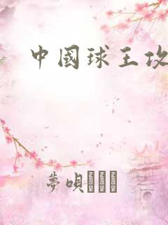 中国球王攻略