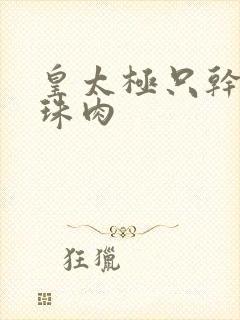 皇太极只干海兰珠肉