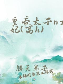 皇帝太子n太子妃(高h)