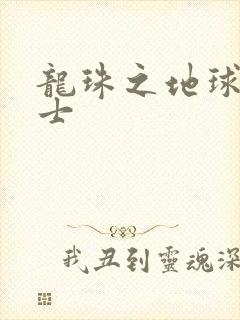 龙珠之地球人战士