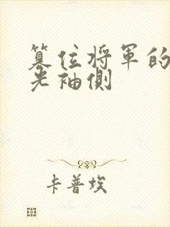 篡位将军的白月光袖侧