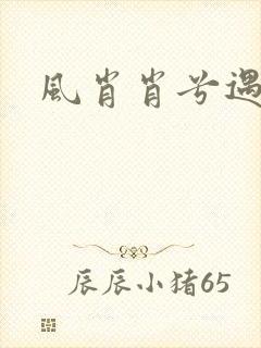 风肖肖兮遇子期