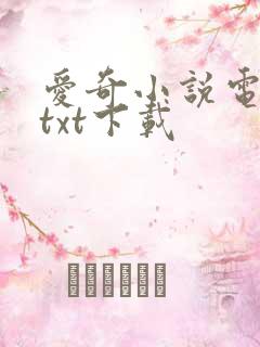 爱奇小说电子书txt下载