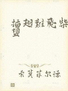 插翅难飞柴米油盐