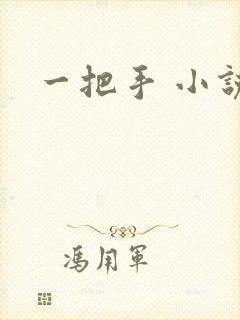 一把手 小说