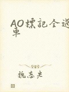 AO标记全过程车