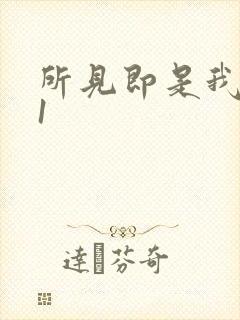 所见即是我1V1
