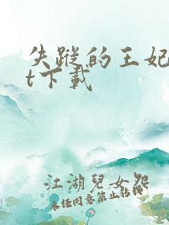 失踪的王妃txt下载