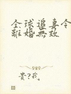 全球追妻令老婆离婚无效