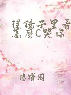 从镜子里看我是怎么C哭你