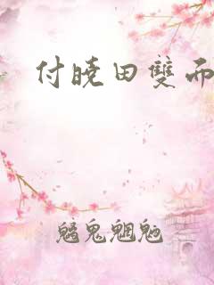 付晓田双面间谍