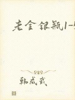 老金银瓶1-5