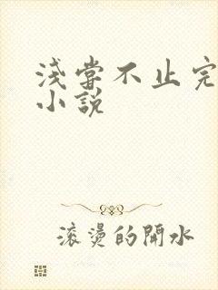 浅尝不止完整版小说