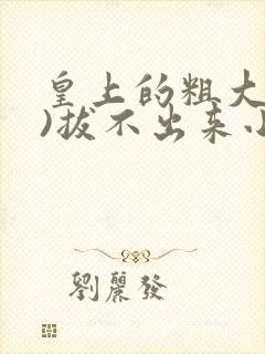 皇上的粗大(h)拔不出来小说