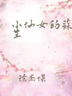 小仙女的苏撩先生