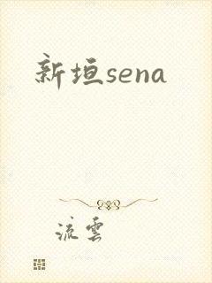 新垣sena