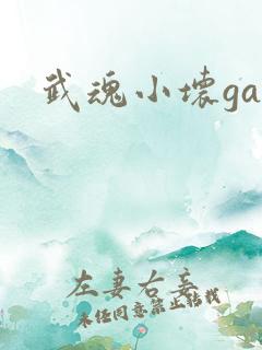 武魂小坏ga