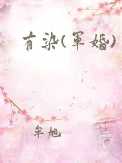 有染(军婚)