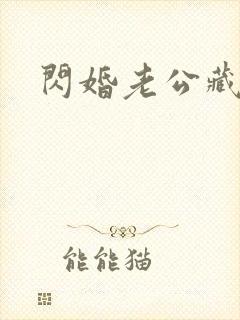 闪婚老公藏不住