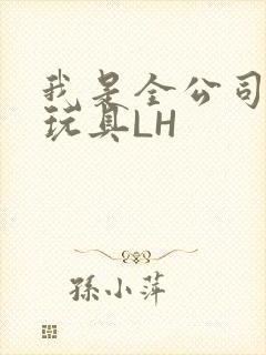 我是全公司发泄玩具LH