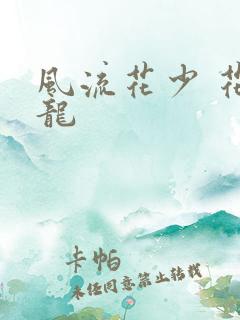 风流花少 花睿龙