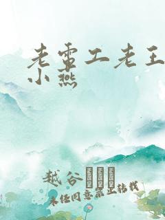 老电工老王和李小燕