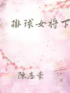 排球女将下载