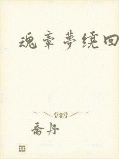 魂牵梦绕回大清