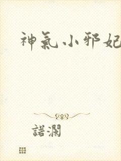 神气小邪妃